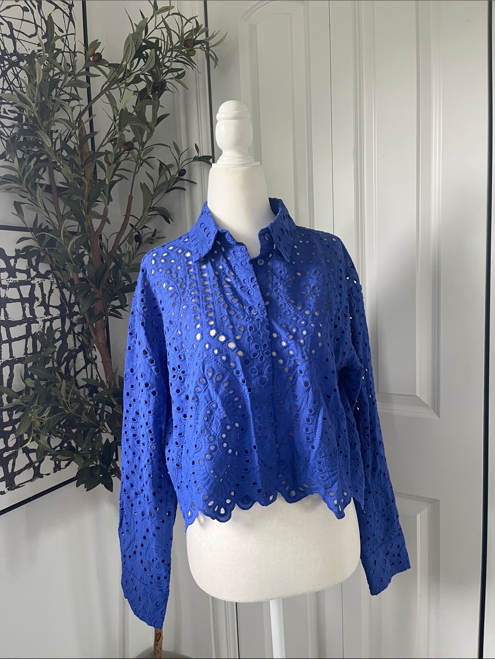 H&M Royal Blue Eyelet Button-Down Shirt